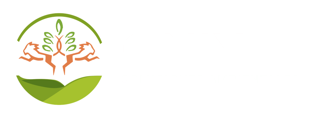 ONIX logo
